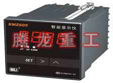 溫度表、數(shù)字顯示儀、濕度表